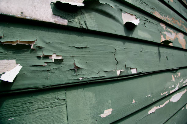 Best Recycling Services for Junk  in Hudson, NY
